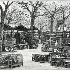 Bird Market, Paris, France