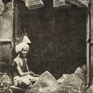 Bird Shop at Ambala, India