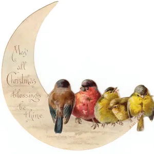 Birds perched on crescent moon on a Christmas card