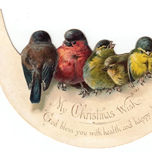 Birds perched on crescent moon on a Christmas card