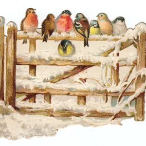 Birds perched on a gate on a cutout Christmas card Birds perched on a gate on a cutout Christmas card