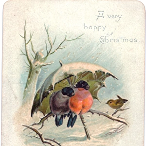 Birds sheltering under umbrella on a Christmas card