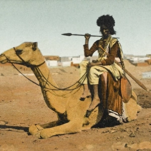Bisharin Man holding a spear, whilst riding his camel