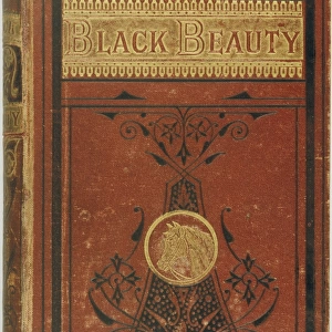Black Beauty / Book