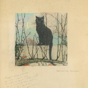 Black cat in garden by Muriel Dawson