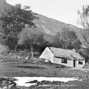 Black Mountain, Belfast