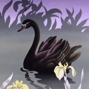 Black Swan