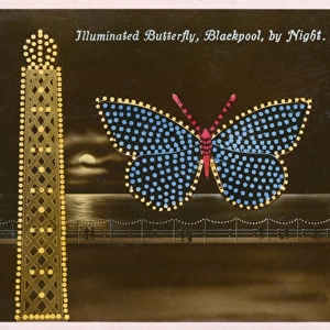 Blackpool, Lancashire - Illuminated Butterfly