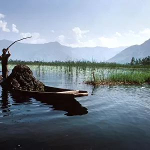 A boatman steers a shikara boat loaded with animal fodder