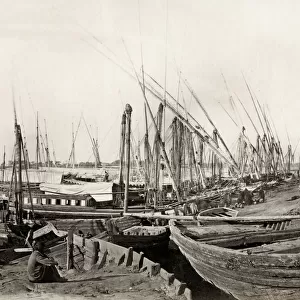 Boats along the banks of the River Nile, Egypt