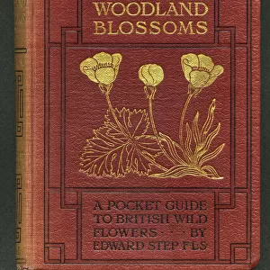 Book cover, Wayside and Woodland Blossoms