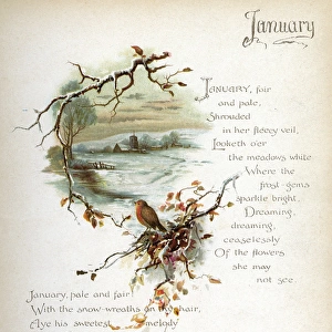 Book illustration -- January