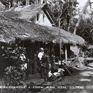 Boralesgamuwa, near Colombo, Ceylon (Sri Lanka)