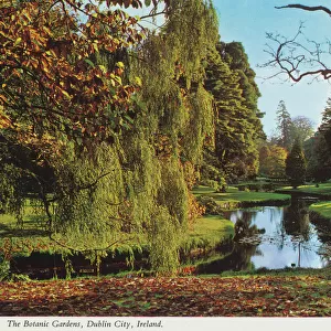 The Botanic Gardens, Dublin City, Republic of Ireland