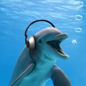 Bottlenose Dolphin - listening to music with headphones