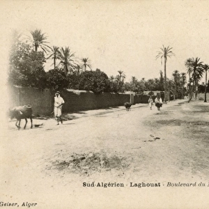Boulevard du Nord, Laghouat, Southern Algeria