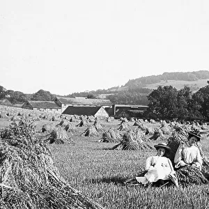 Box Hill Dorking haymaking Victorian period