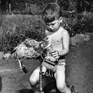 Boy with ice cream and chicken