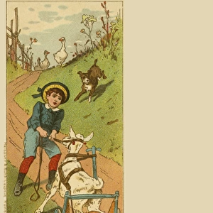 Boy pulling a goat-cart