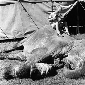 Boy sitting on elephant, Sir Robert Fossetts Circus