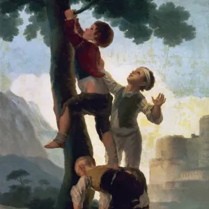 Boys Climbing a Tree, 1791-1792, by Francisco de Goya