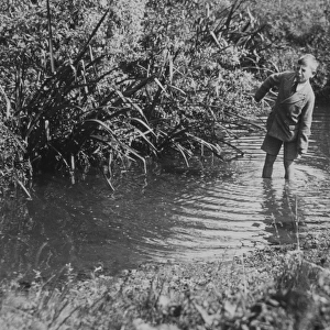 Boys paddling in a stream