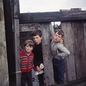 Three boys playing on a Balham street, SW London