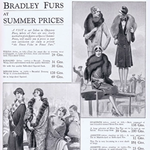 Bradley Furs Advert, 1927