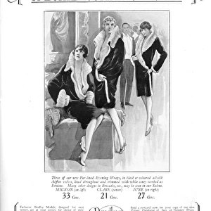 Bradley Furs Advert, 1927