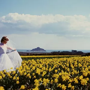 Bride in daffodil field, St Michaels Mount, Cornwall