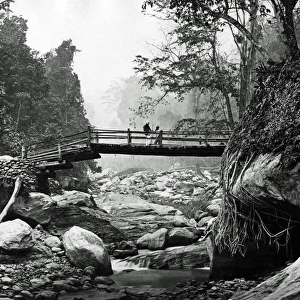 Bridge over Rungnoo River, Darjeeling, India