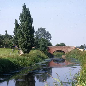 Bridgwater and Taunton Canal, Somerset