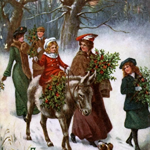 Bringing in the holly