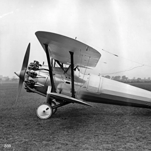 Bristol Bulldog II (American) 1929