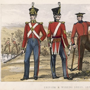 British 19C Sappers 1825