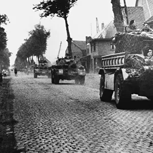 British armoured cars of the Guards Armoured Division on the tree-lined road to