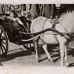 British Holiday Scene, Young toddler riding in pony carriage