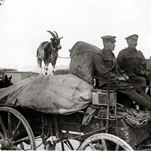 British soldiers with pet goat, Western Front, WW1