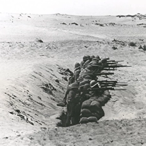 British troops in trench, Brown Ridge, Middle East, WW1