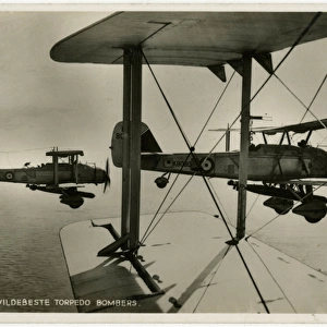 British Vickers Vildebeest biplanes in flight