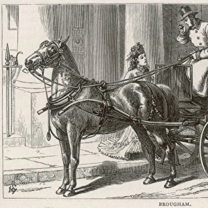 Brougham Lady 1872