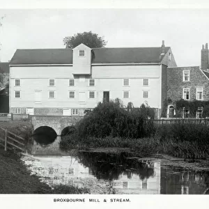 Broxbourne Mill and Stream