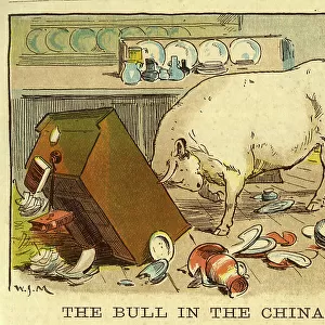 The Bull in the China Shop
