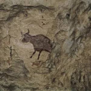 Bull in Levantine naturalistic style from Abrigo