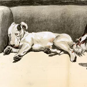 The Bully by Cecil Aldin