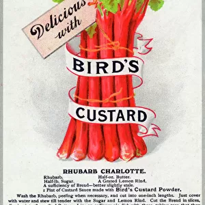 A bunch of Rhubarb - delicious with Birds Custard