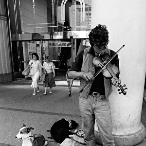Busker with dogs, Cheltenham - 1