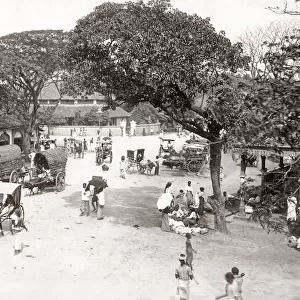 Busy street scene with bullock carts, India, c. 1880 s