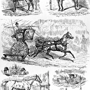 Cab and Cab Horse Show, Alexandra Palace, 1875