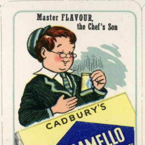 Cadburys Happy Families - Master Flavour